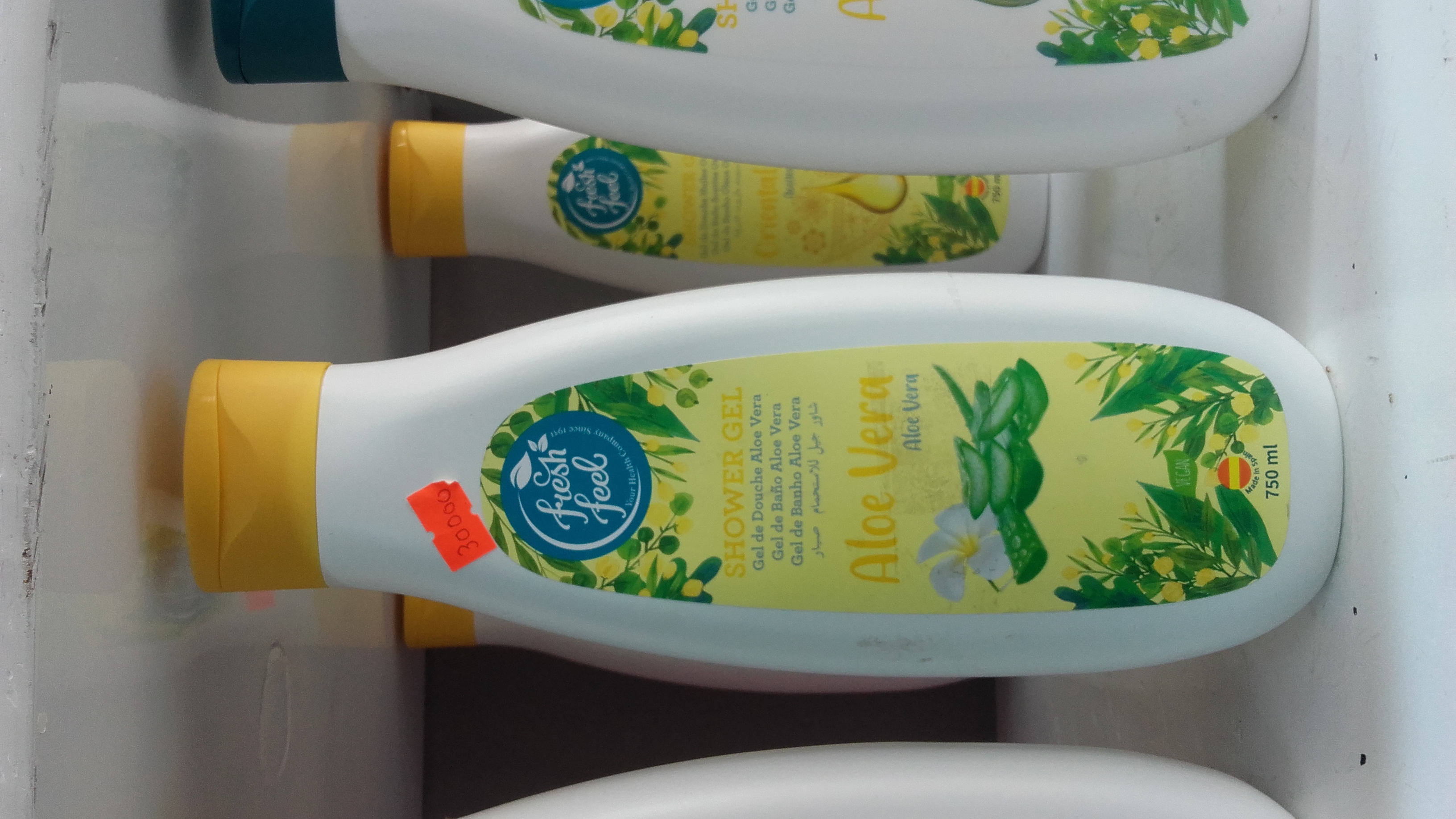 Fresh Feel Aloe Vera