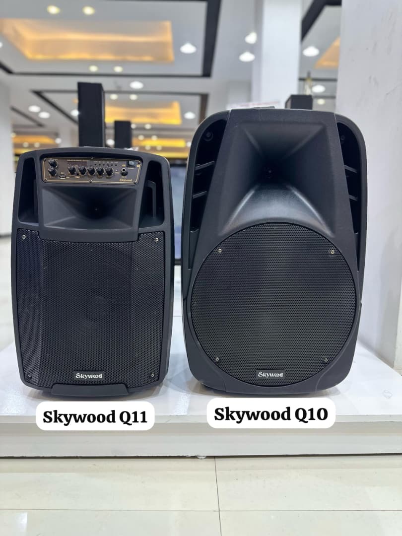 Speaker skywood Q10