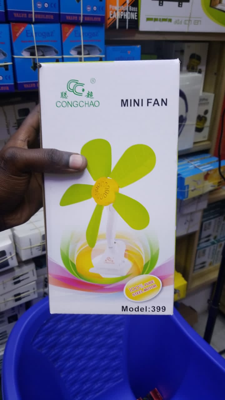 Mini Fan