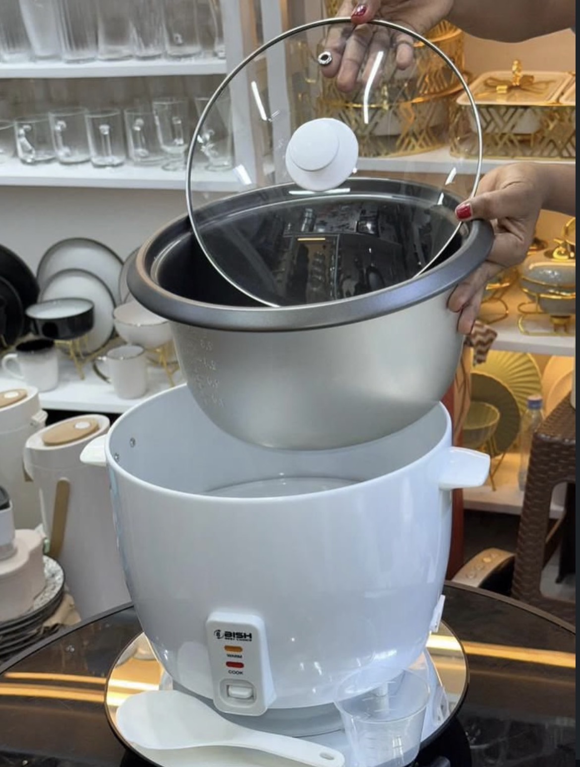 bish ricecooker