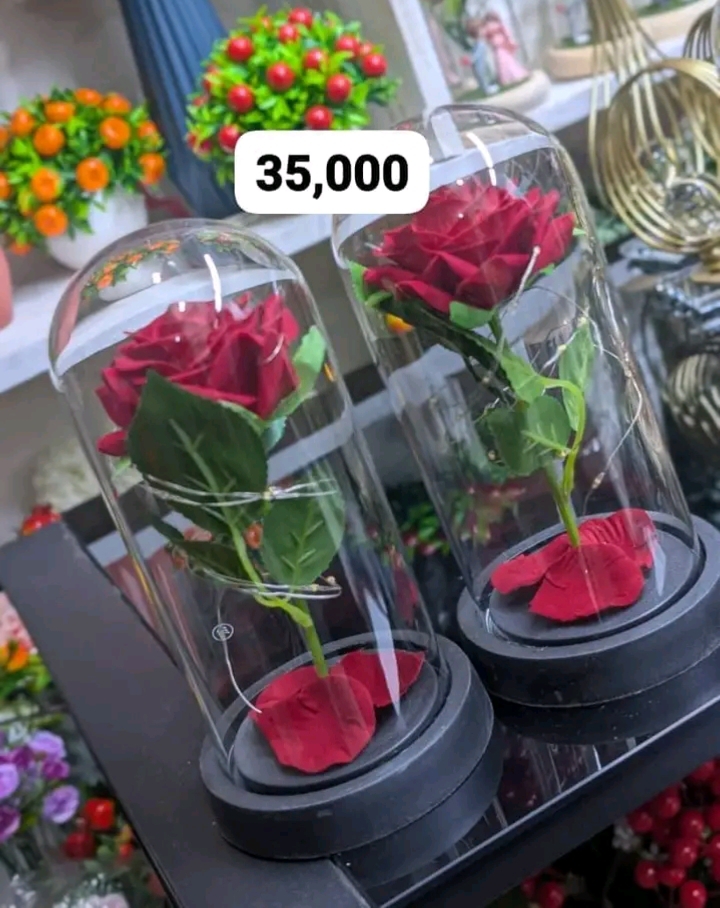 Rose flower