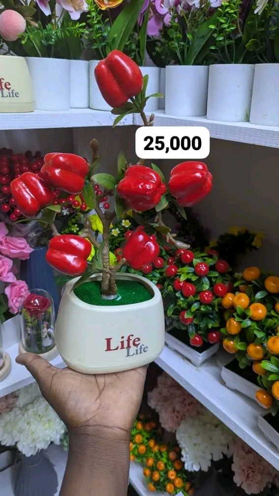 Apple flower