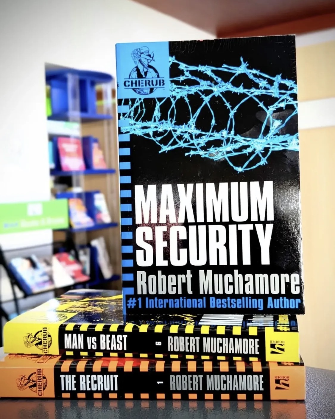 Maximum security book