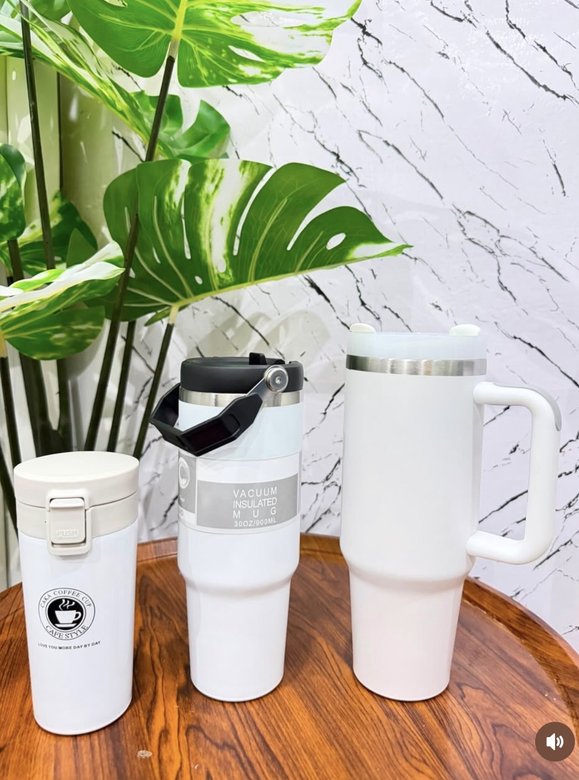 vacuum mug
