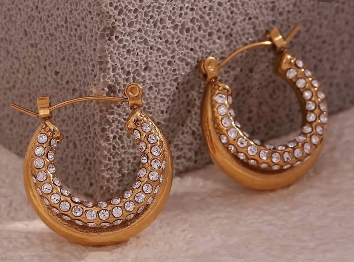 saina earings