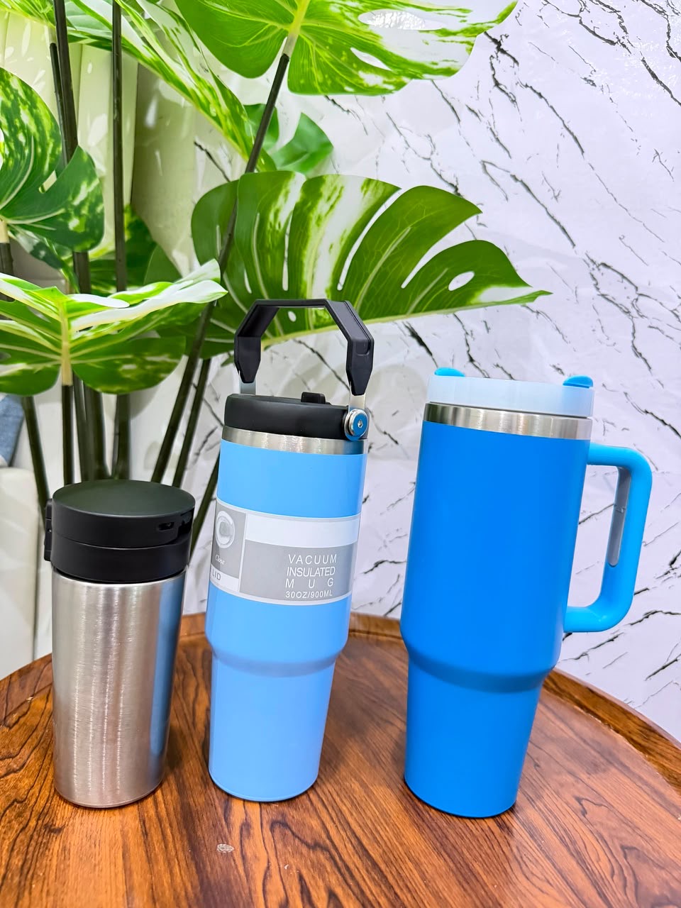 vacuum cup 3pc