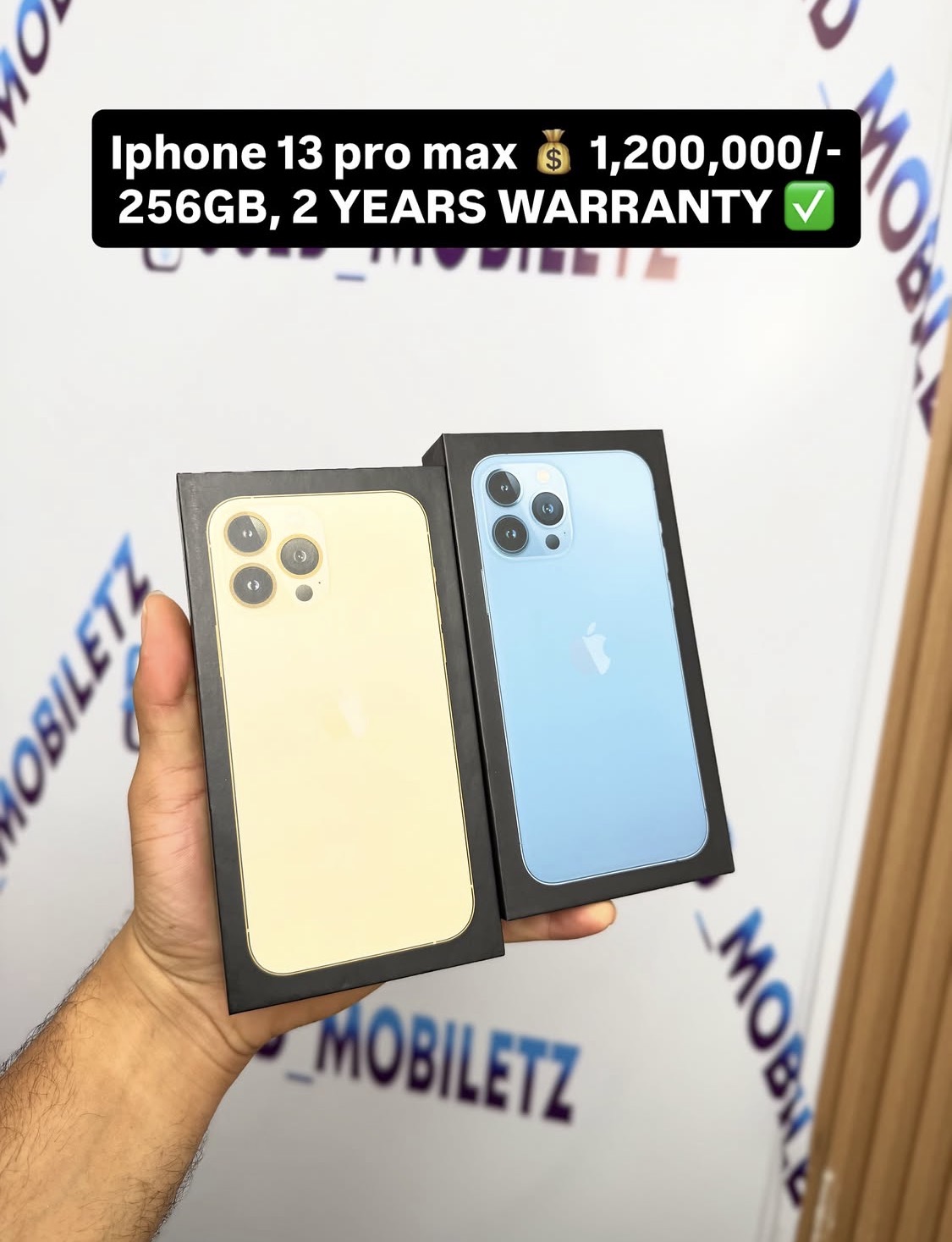 iPhone 13 pro max