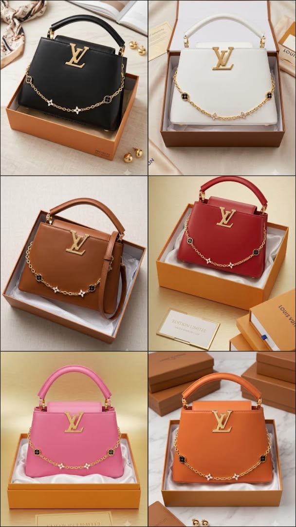 LV bag