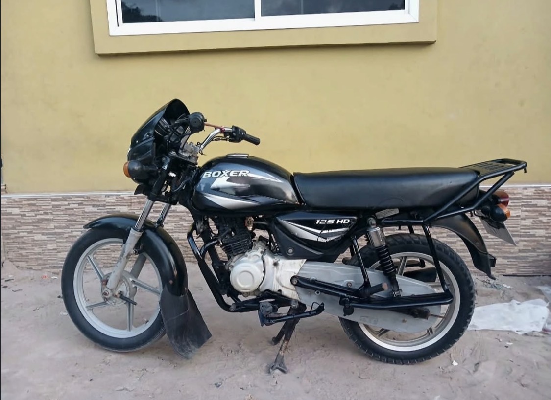 Boxer DZK