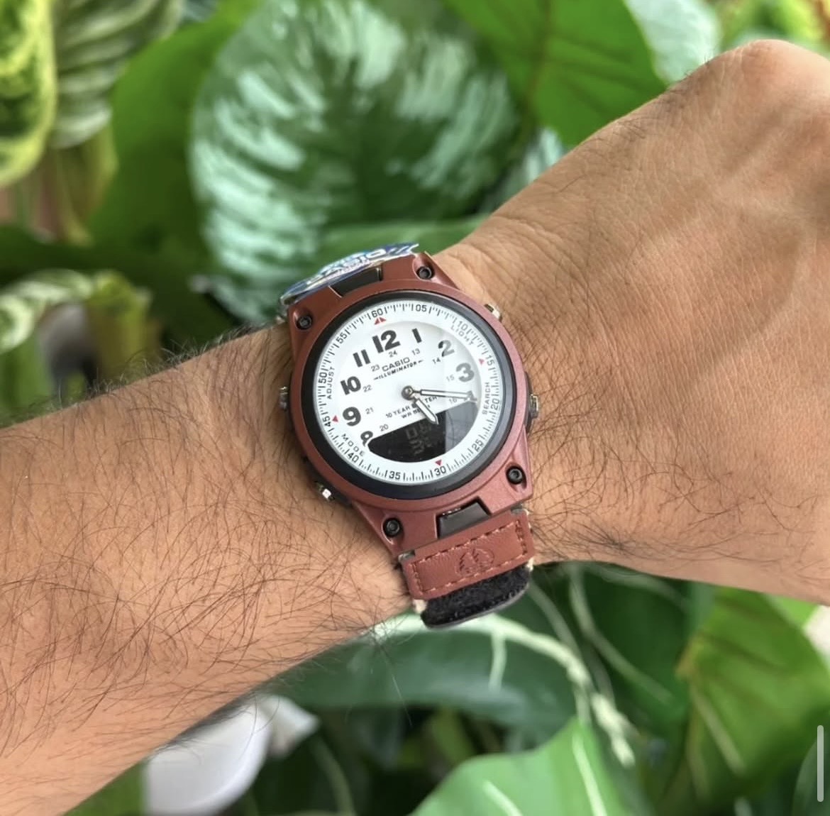 casio og