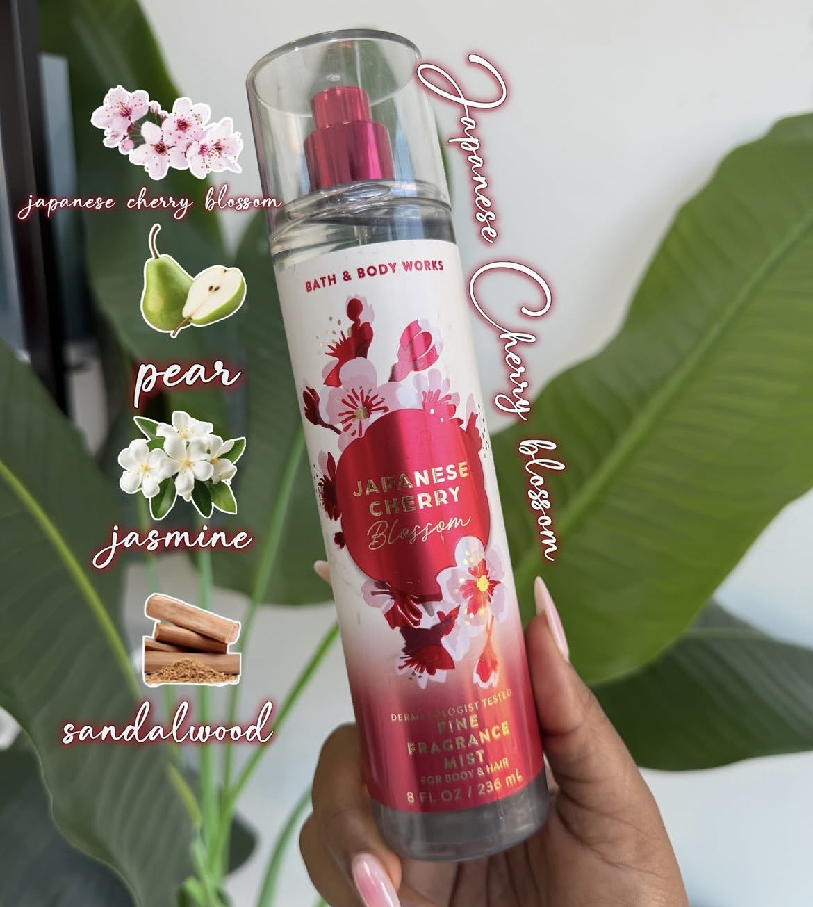 Japanese cherry blossom