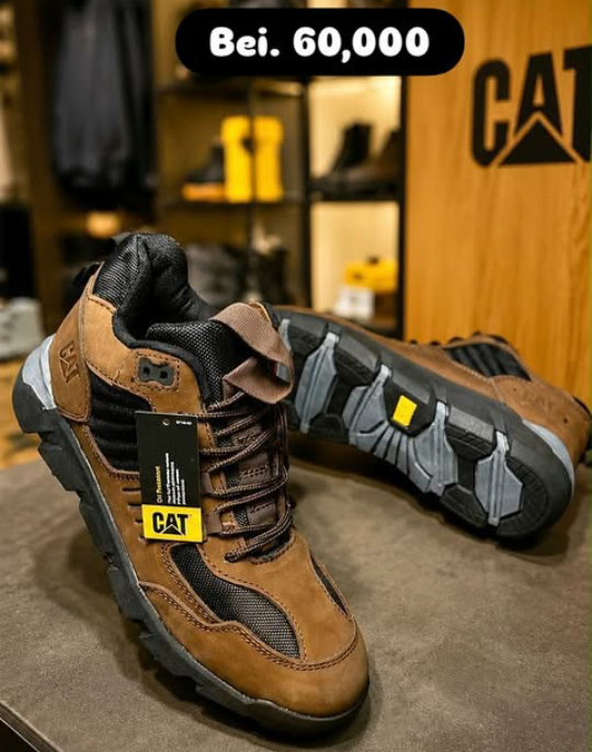CAT Shoes Brown Color