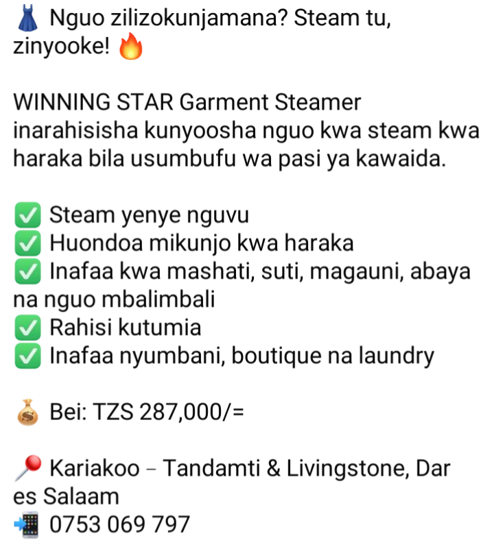 Winning star garment steamer