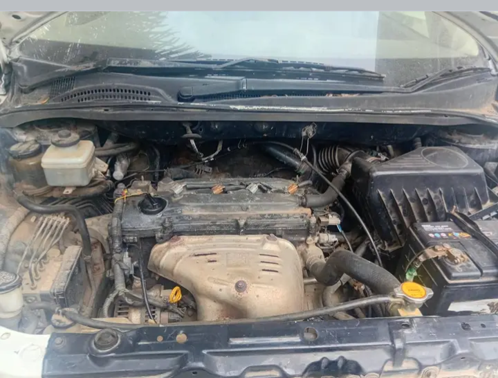 Toyota Ipsum