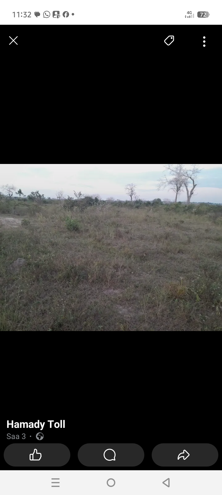 Shamba
