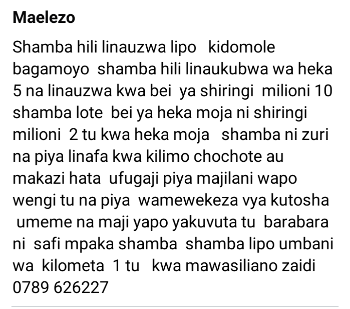 Shamba