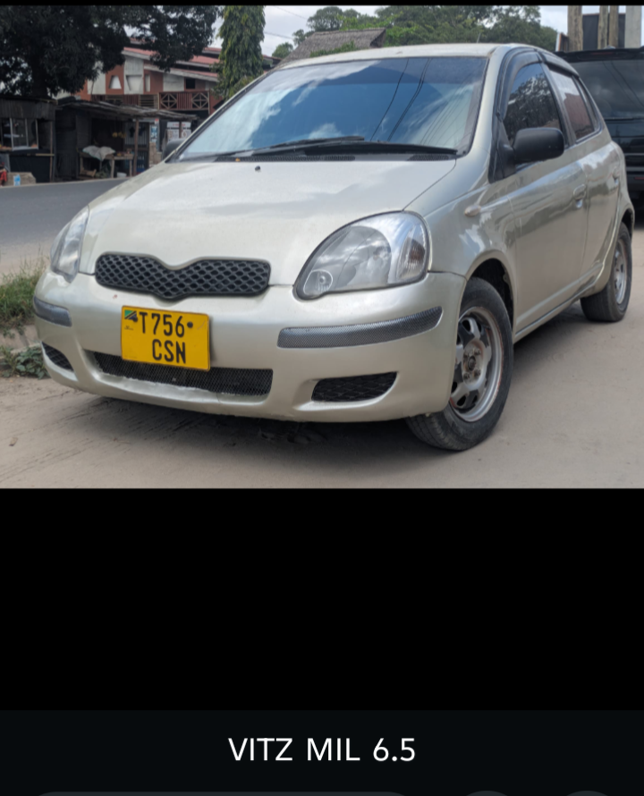 Vitz