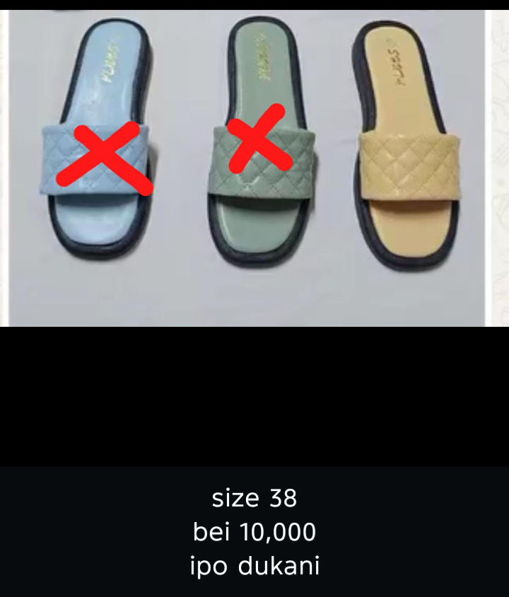 Shoes A1